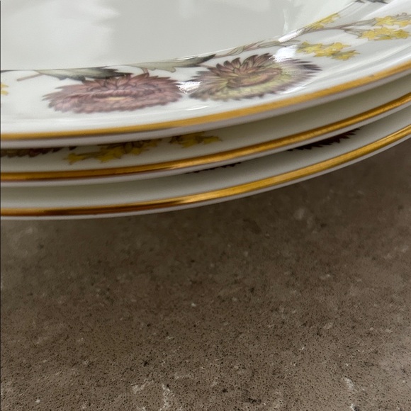 Soup plates - Picture 2 of 3
